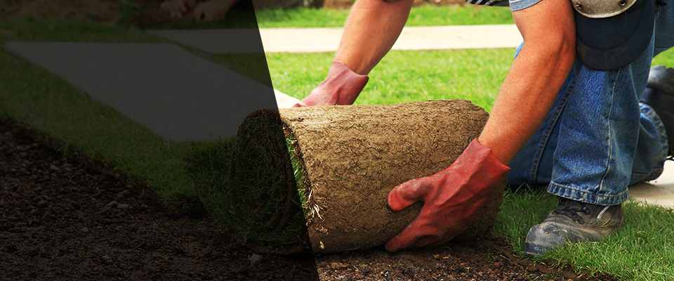 Rockdale Landscapers